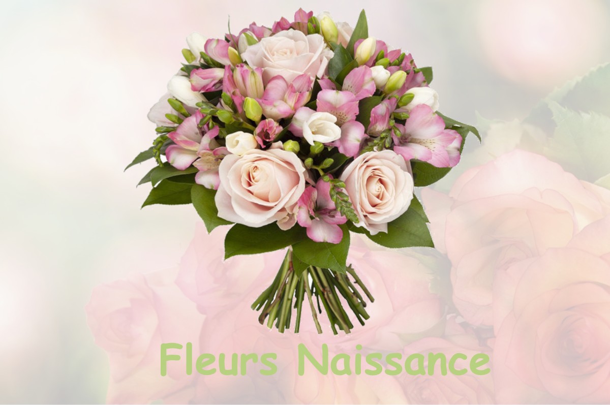 fleurs naissance LA-FARE-LES-OLIVIERS