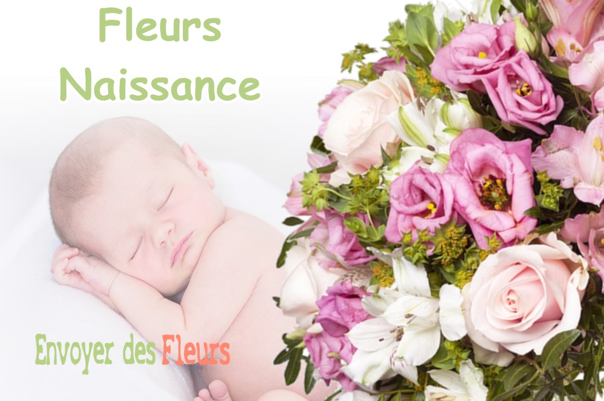 lIVRAISON FLEURS NAISSANCE à LA-FARE-LES-OLIVIERS